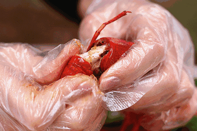 400_266 gif 动态图 动图