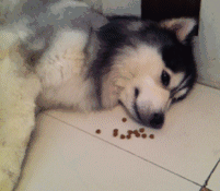 在合肥,从来没有谈过恋爱,是一种什么体验?